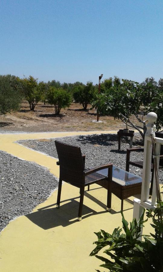 Mersinera Paradise Garden Stars House Larnaca Bagian luar foto