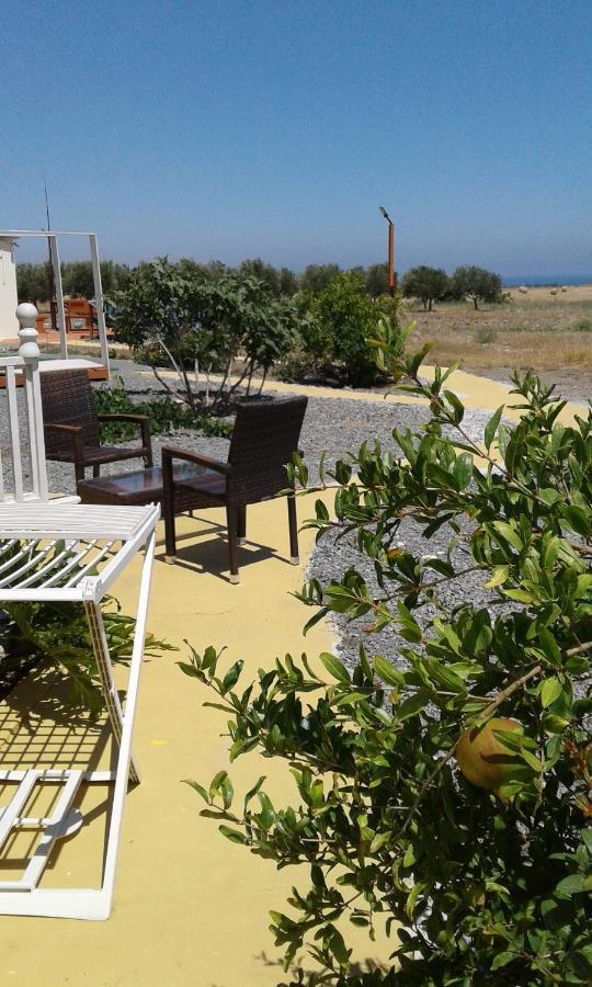 Mersinera Paradise Garden Stars House Larnaca Bagian luar foto