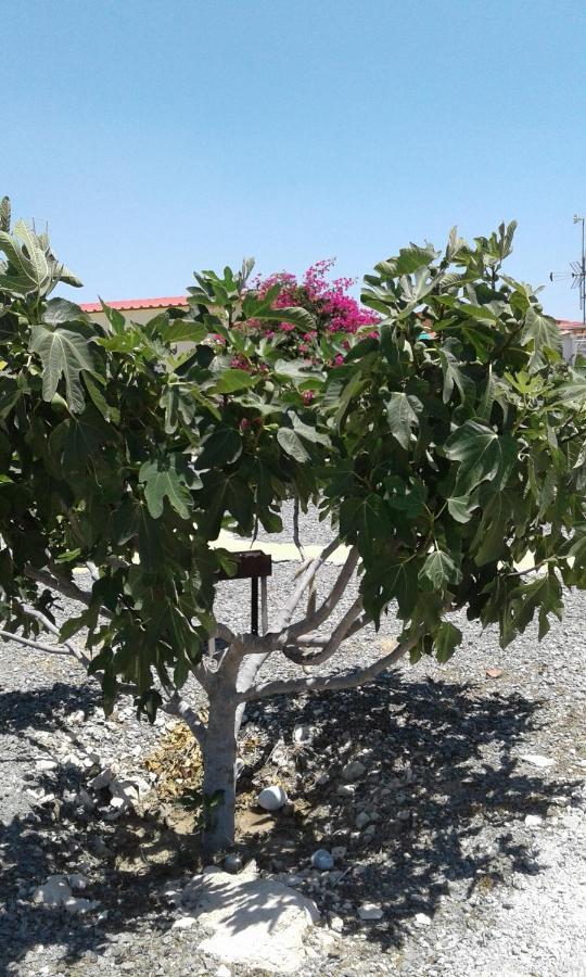 Mersinera Paradise Garden Stars House Larnaca Bagian luar foto