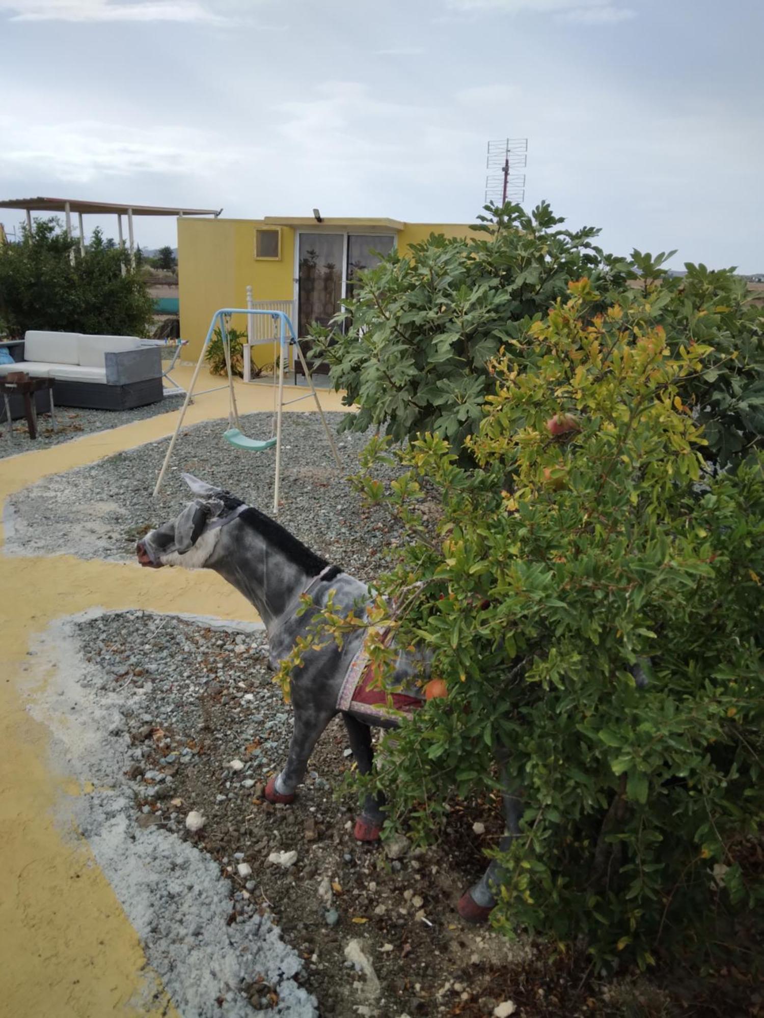 Mersinera Paradise Garden Stars House Larnaca Bagian luar foto